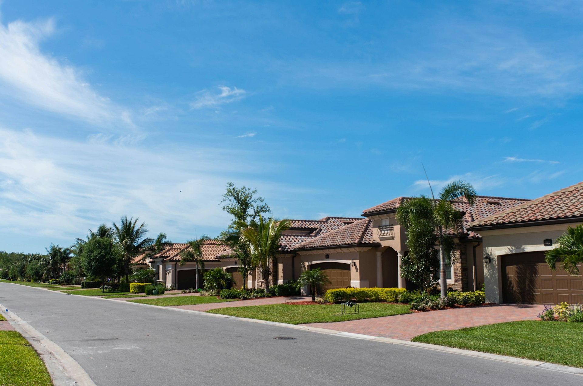 Palm-lined street in Central Florida